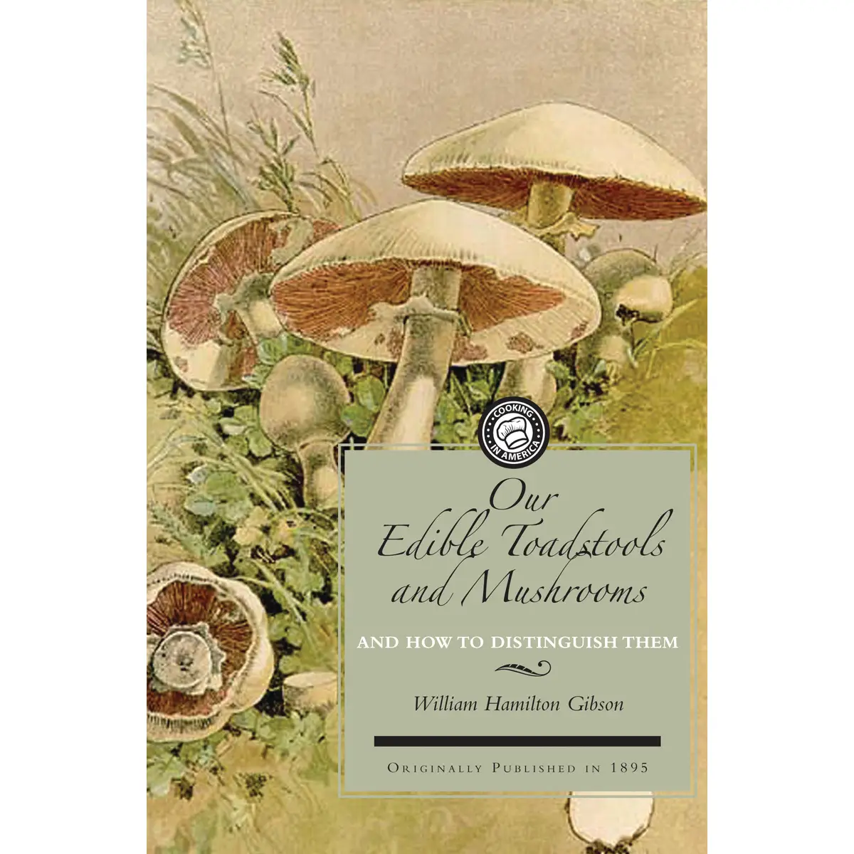 Our Edible Toadstools and Mushrooms and How to Distinguish Them